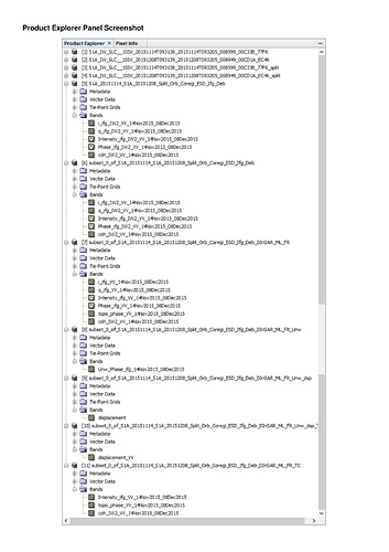 SNAP%20Workflow-2