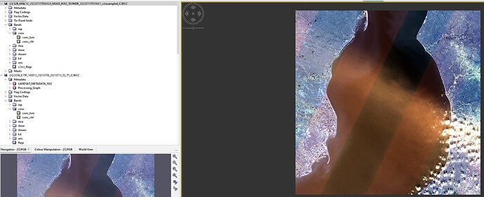 Screenshot_1