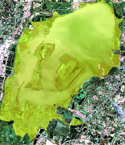 polygon in SNAP desktop