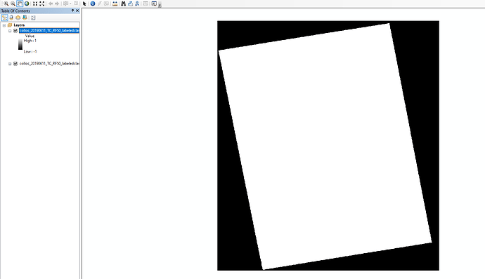 IMAGE IN ARCMAP