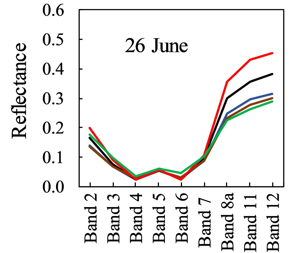Spectral signature of vegetation is weird s2tbx step forum