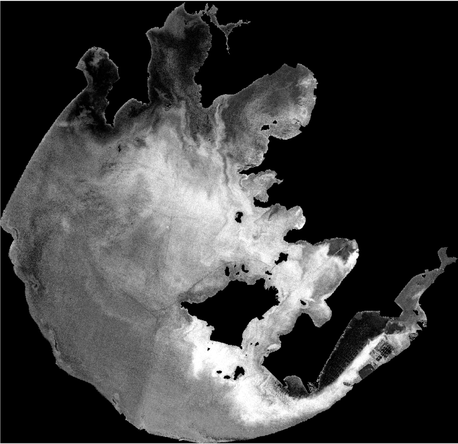 No C2x-net Option For Sentinel-3 Olci C2rcc Processor,the Chla Results 